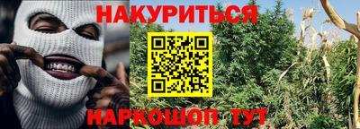 гашик Пыть-Ях