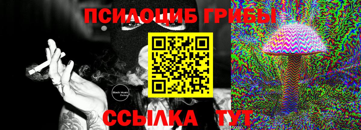 Галлюциногенные грибы Psilocybine cubensis Феодосия